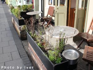 IMG_6169Hedge Outside Chequers Pub, High Street, Marlow - 2014-03-22