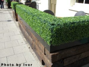 Hedge Outside Chequers Pub, High Street, Marlow - 2010-07-17
